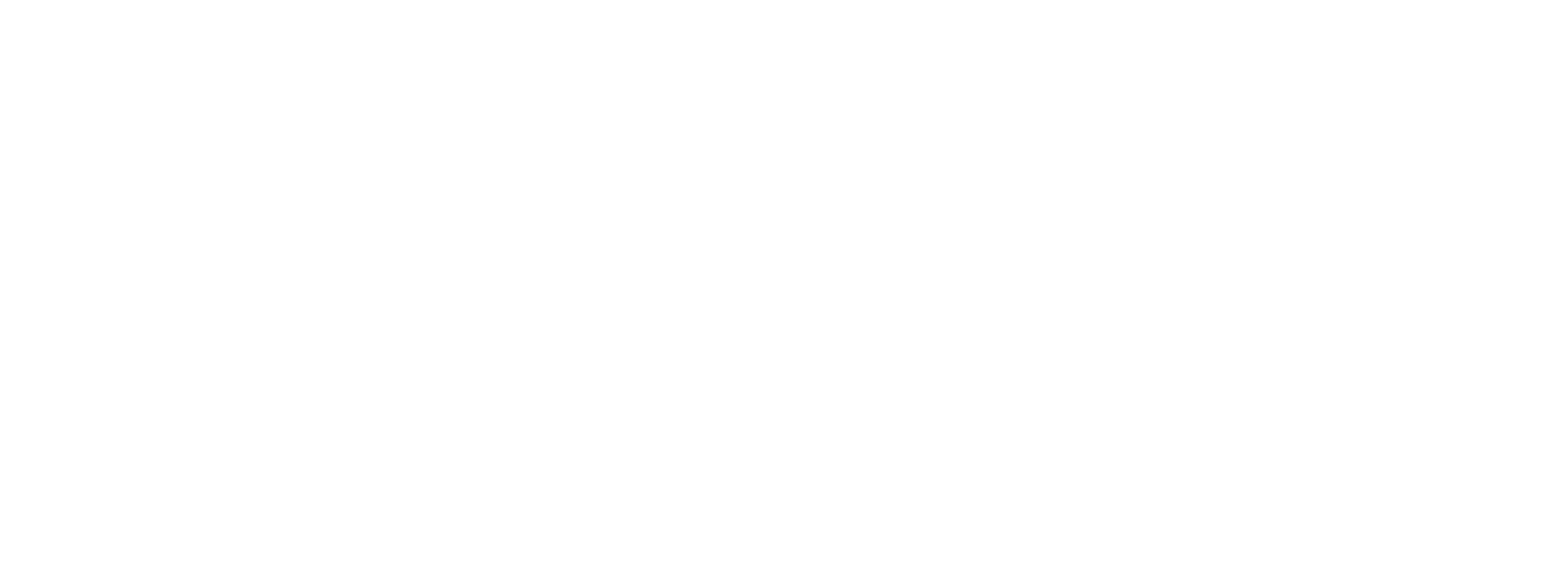 The Tyler Simmons Team Logo
